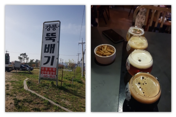 강릉뚝배기(좌)와 버드나무브루어리 / 필자 제공