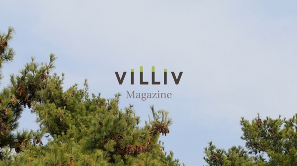 villiv