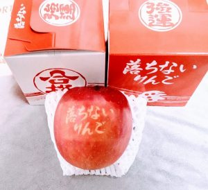 일본 아오모리현의 명물이 된 떨어지지 않는 사과 즉, 합격 사과
