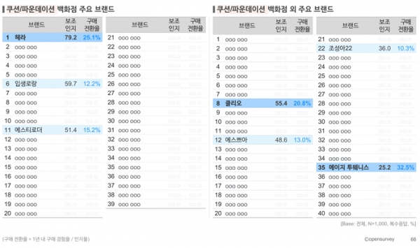 오픈서베이 뷰티 트렌드 웨비나 발표 자료 (p.66)