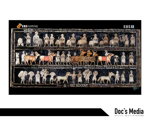 출처 : EBS 다큐프라임 '가축'