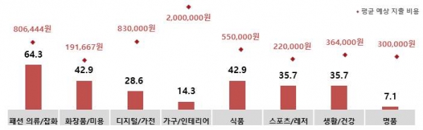 ‘휴가철 및 여름 성수기’ 쇼핑 희망 품목 및 예상지출비용