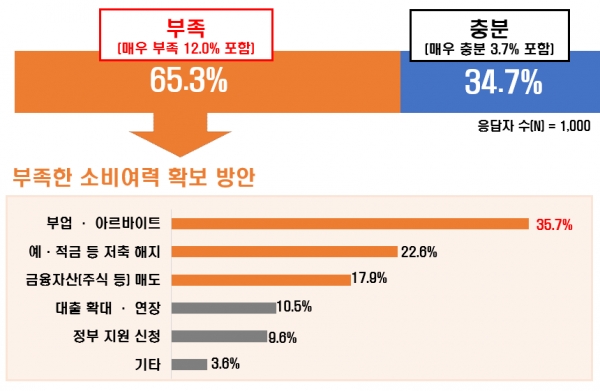 2023년 예상 소비 여력 및 확보방안