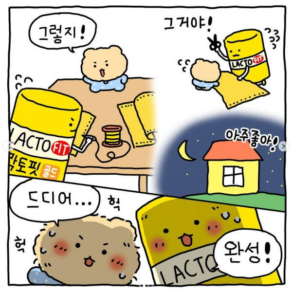 출처 : 락토핏 인스타그램