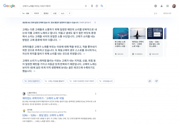 생성형 AI 검색이 적용되어 ‘이어서 질문하기’ 기능을 사용하는 검색결과 예시. ‘고래가 노래를 부르는 이유’를 검색하면, 결과 하단에 ‘이어서 질문하기’ 및 관련 제안 질문들이 보이는 모습