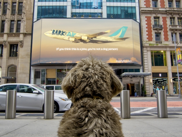 Bark Air (출처 musebyclio)