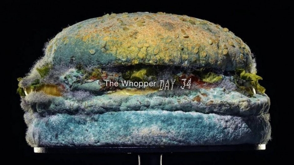 2020 버거킹 광고 ‘곰팡이 슨 와퍼(The Moldy Whopper)