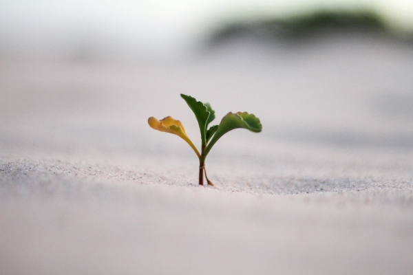 사진 Jeremy Bishop / Unsplash