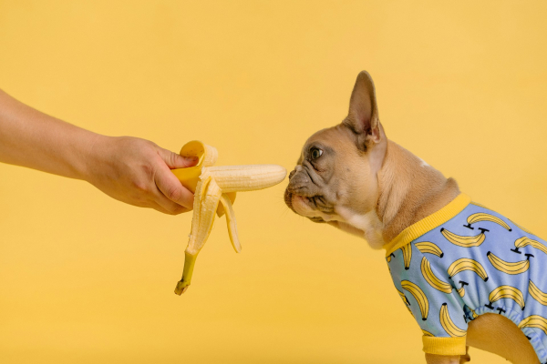 사진: Karsten Winegeart / Unsplash